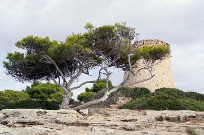 Kam na výlet na Mallorce: nejlepší tipy na výlety
